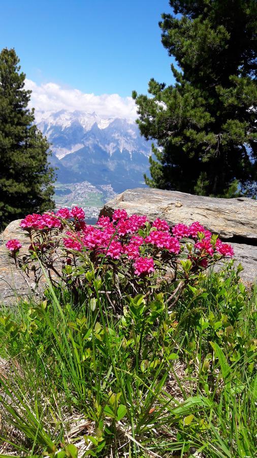 Apartments Feichtner Manfred -Tulfes - Innsbruck-Land - Tirol מראה חיצוני תמונה